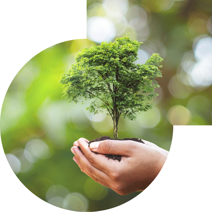 关怀人类、文化、环境与社会